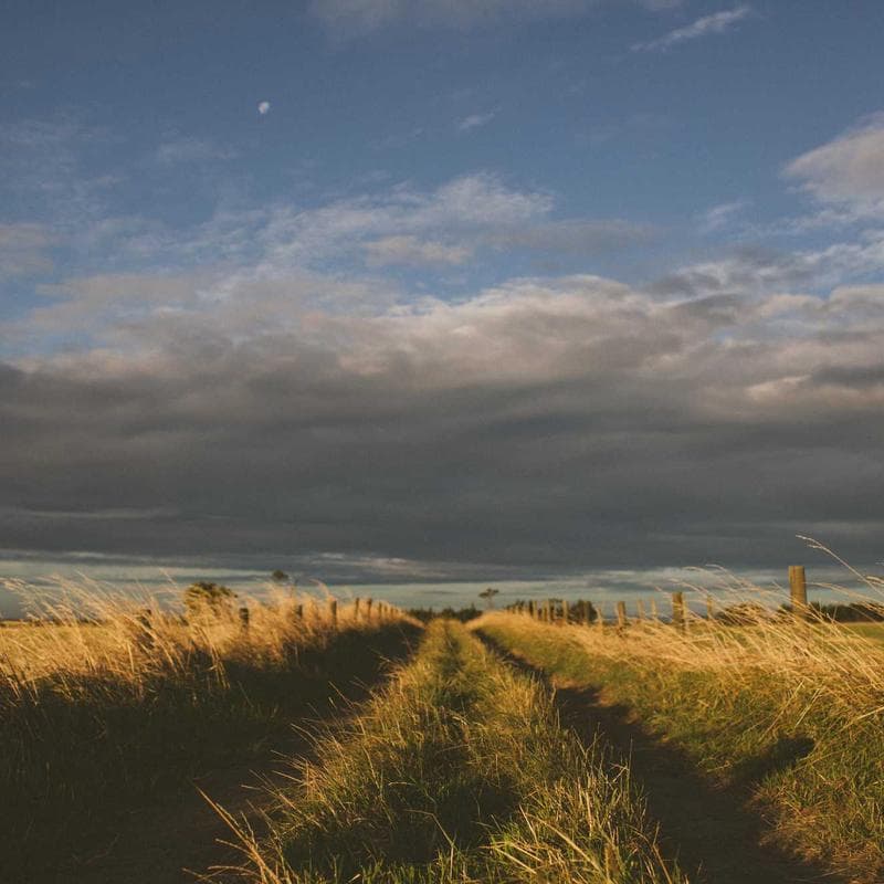 Sacred Palo Santo Bundle 2