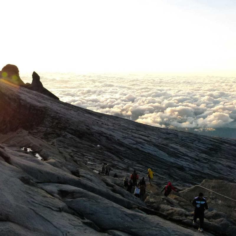 Lotus Protection Bracelet