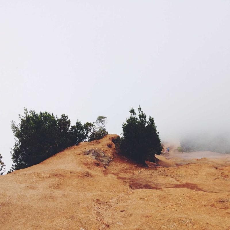 White Sage Cleansing Kit